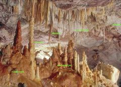Labeled speleothems